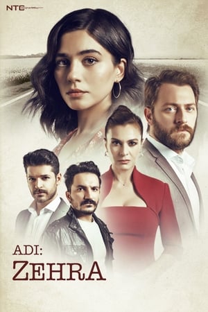 Epidsode # 21-31