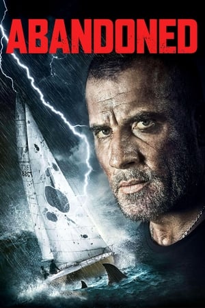 Abandoned 2015 BRRip