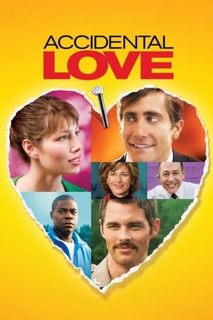 Accidental Love 2015 BRRip