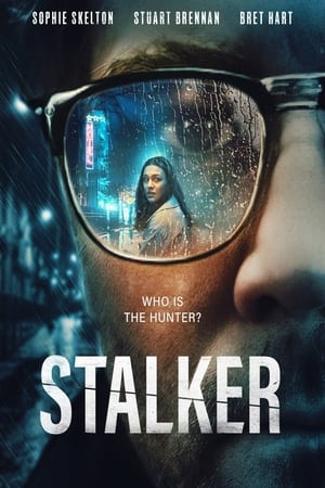 Stalker 2022 BRRip