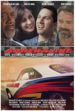 Adrenaline 2015 BRRip