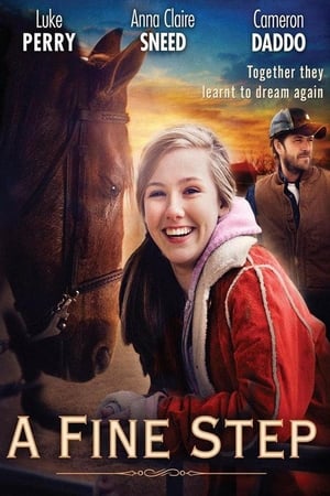 A Fine Step 2014 BRRip