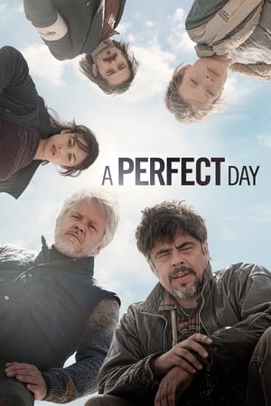 A Perfect Day 2015 BRRip