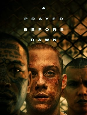 A Prayer Before Dawn 2017 BRRIp