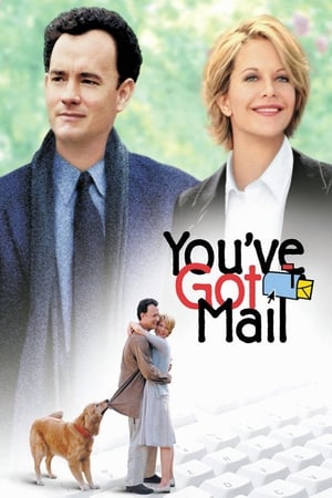 You've Got Mail 1998 Dual Audio