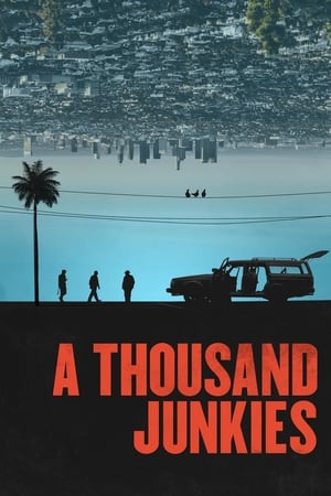 A Thousand Junkies 2017 BRRip