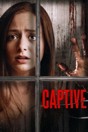 Captive 2020 BRRip