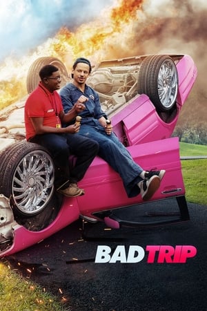 Bad Trip 2020 BRRip