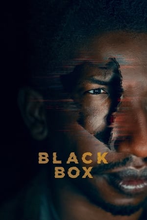 Black Box 2020 BRRIp