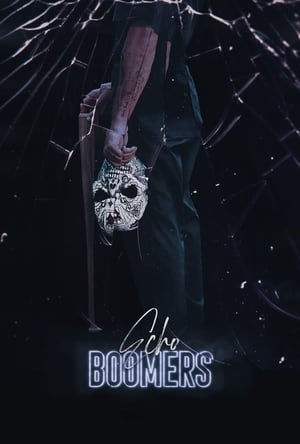 Echo Boomers 2020 BRRip