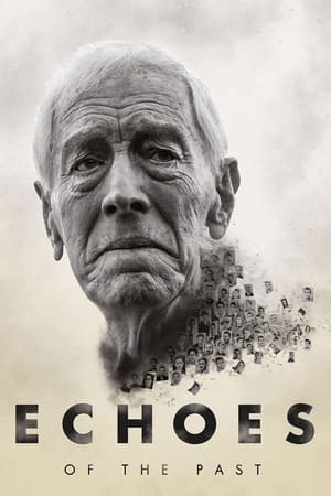 Echoes of the Past 2021 BRRIp