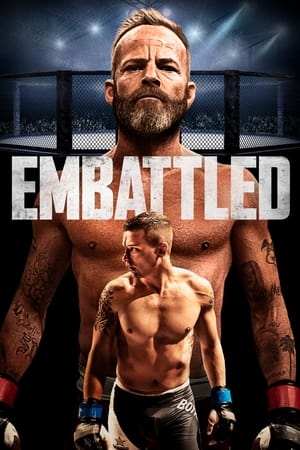 Embattled 2020 BRRip