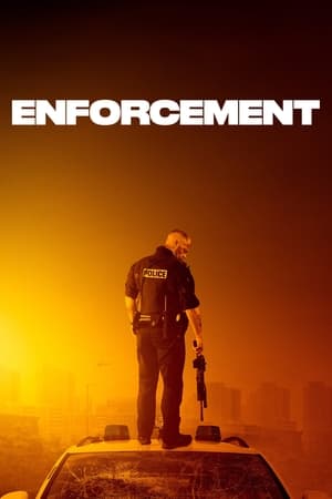 Enforcement 2020 BRRIp