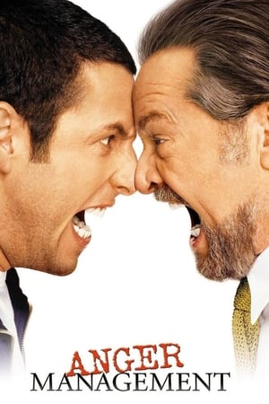 Anger Management 2003 Dual Audio