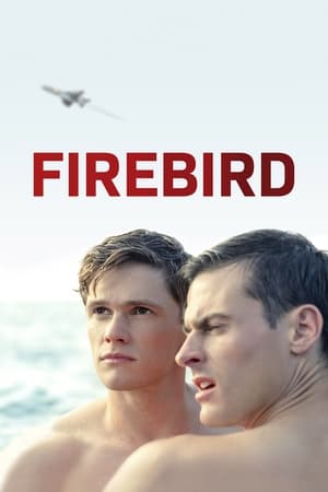 Firebird 2021 BRRip