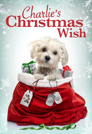 Charlie's Christmas Wish 2020 BRRip