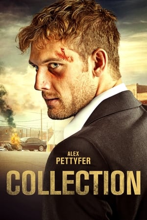 Collection 2021 BRRip