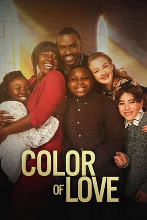 Color of Love 2021 BRRip