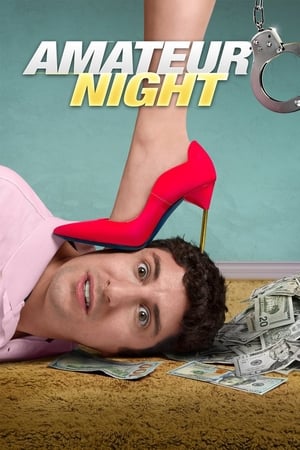 Amateur Night 2016 BRRip