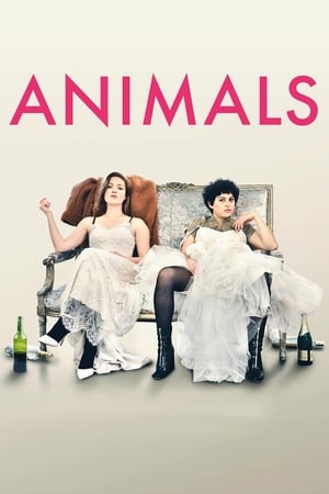 Animals 2019 BRRIp