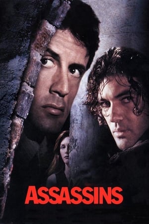 Assassins 1995 Dual Audio