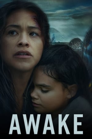 Awake 2019 BRRip