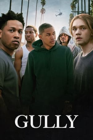 Gully 2019 Dual Audio