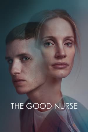 The Good Nurse 2022 Dual Audio