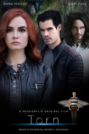 Torn A Wicked Trilogy 2022 BRRip