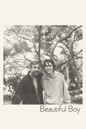 Beautiful Boy 2018 BRRip