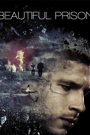 Beautiful Prison 2016 BRRip