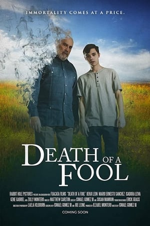 Death of a Fool 2020 BRRip