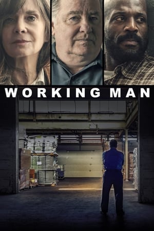 Working Man 2020 BRRip