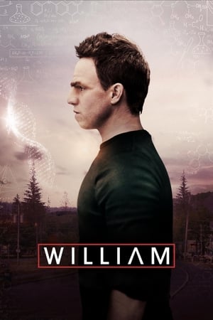 William 2019 BRrip