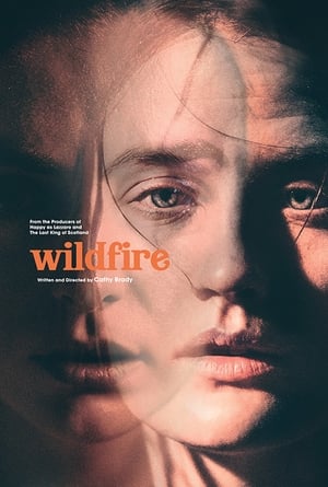 Wildfire 2020 BRRip