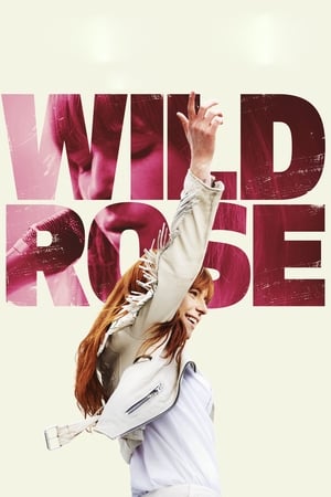 Wild Rose 2019 BRRip