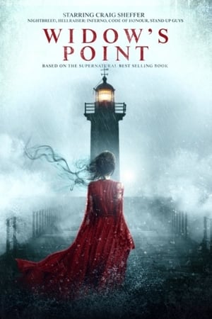 Widow's Point 2019 BRRip