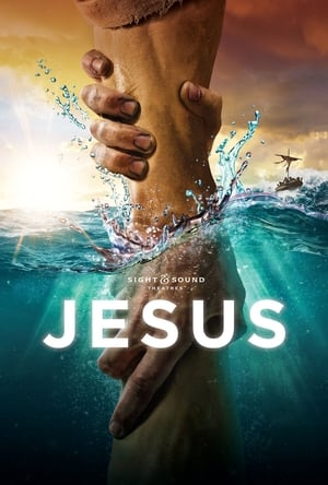 Jesus 2020 BRRip
