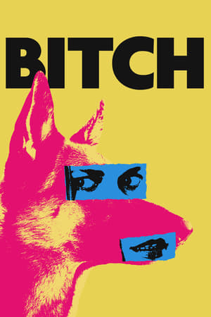 Bitch 2017 BRRip
