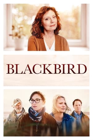 Blackbird 2019 BRRip