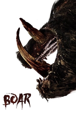 Boar 2017 BRrip