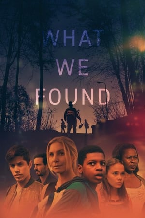 What We Found 2020 BRRip