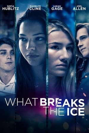 What Breaks the Ice 2020 BRRip