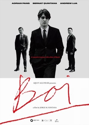 Boi 2019 BRRip