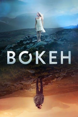 Bokeh 2017 BRRip
