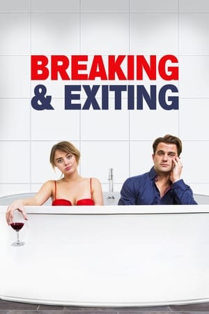 Breaking & Exiting 2018 BRRIp