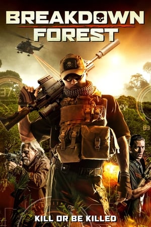 Breakdown Forest 2019 BRRip