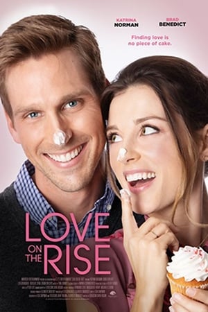 Love on the Rise 2020 BRRip