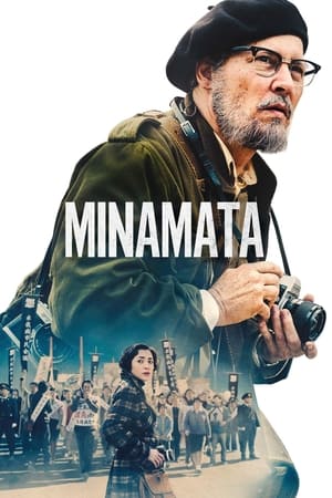 Minamata 2020 BRRip