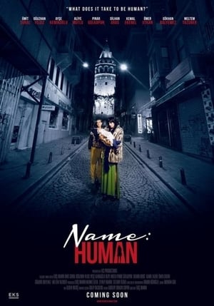 Name: Human 2020 BRRIp